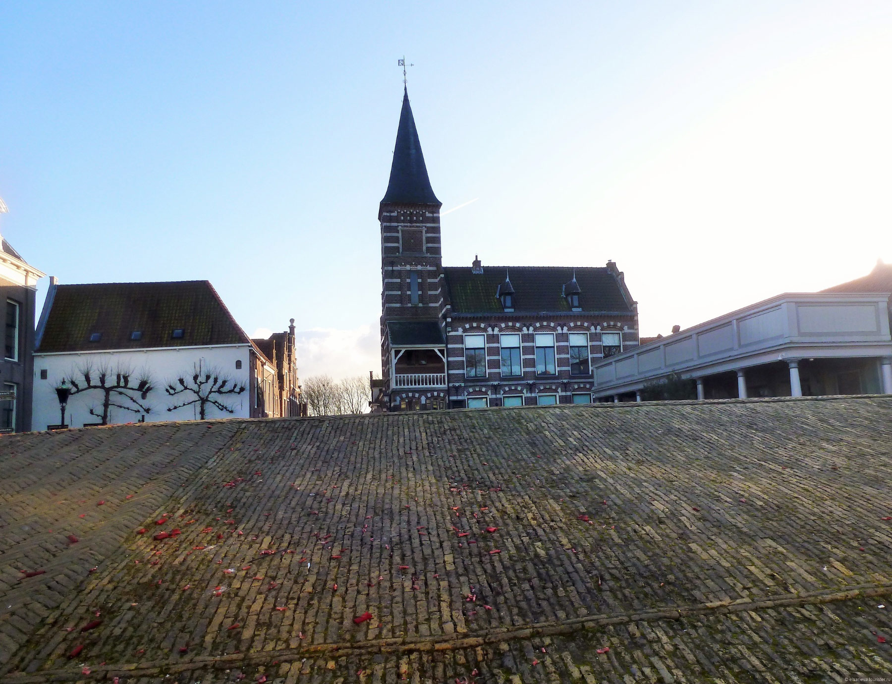 Edam